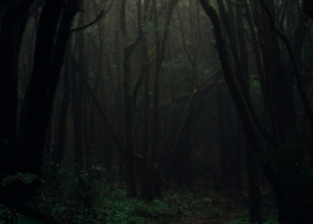 Ini 5 Cara Bagi Suami Mengatasi Istri Pemalas