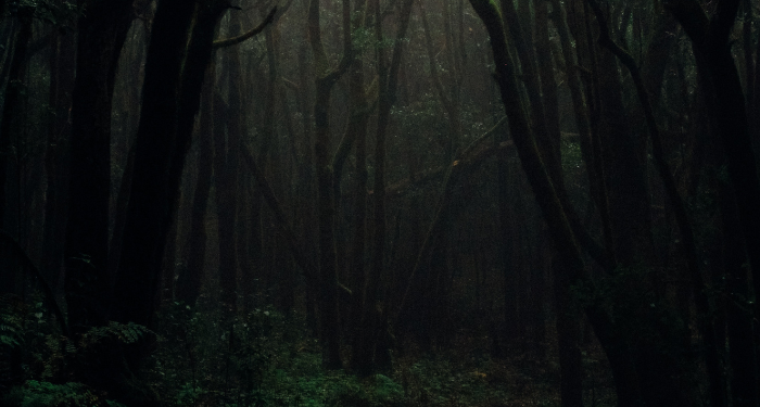 Ini 5 Cara Bagi Suami Mengatasi Istri Pemalas