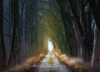 Jarak Surga dan Neraka Tinggal Sehasta