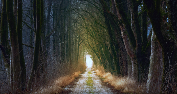 Jarak Surga dan Neraka Tinggal Sehasta