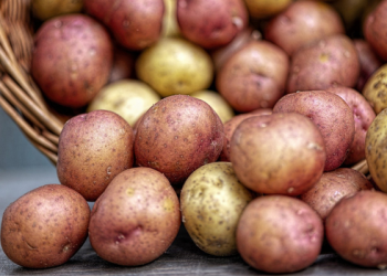 Mengenal Penyakit Rematik