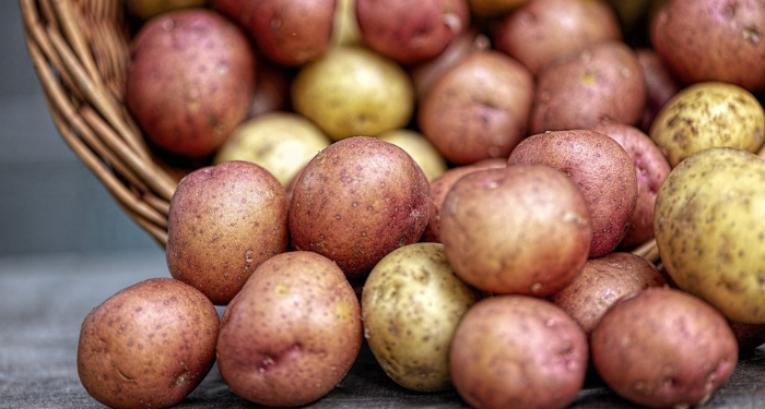 Mengenal Penyakit Rematik