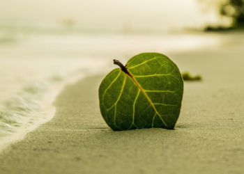 Mengenal Penyakit Rematik