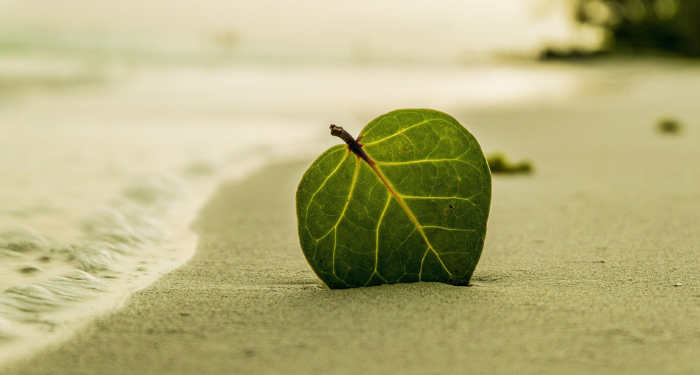 Mengenal Penyakit Rematik