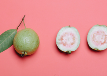 Kebahagiaan Berkibar di atas Rumah Paling Agung