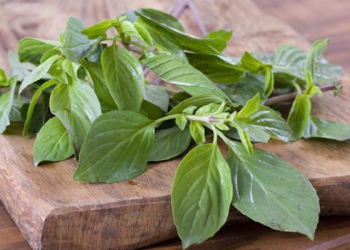 Bolu Gulung Cokelat Moka, Penawar Sedih dan Duka