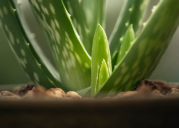 Penyebab Kuteks Tidak Boleh Digunakan