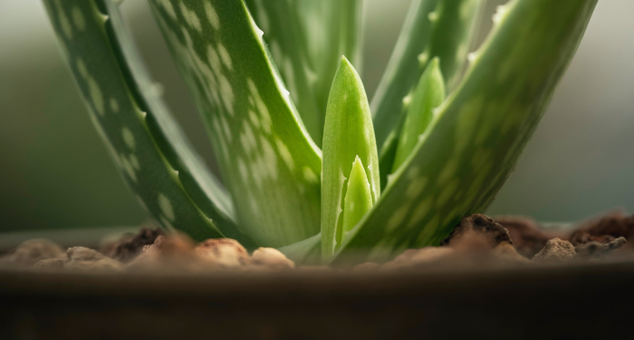 Penyebab Kuteks Tidak Boleh Digunakan