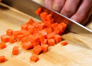 Teknik Dasar Memotong Makanan