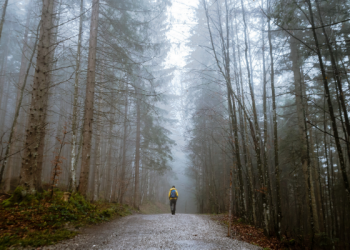 Bolu Gulung Cokelat Moka, Penawar Sedih dan Duka