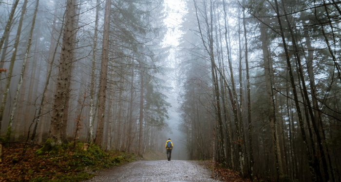 Bolu Gulung Cokelat Moka, Penawar Sedih dan Duka
