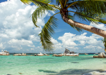 Bunda, Hindari Memakai Celana Dalam Berbahan Ini