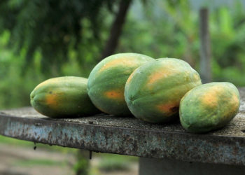 8 Tahapan Mengatur Kemarahan pada Istri agar Tak Berujung KDRT