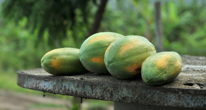 8 Tahapan Mengatur Kemarahan pada Istri agar Tak Berujung KDRT