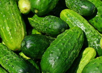 8 Tahapan Mengatur Kemarahan pada Istri agar Tak Berujung KDRT