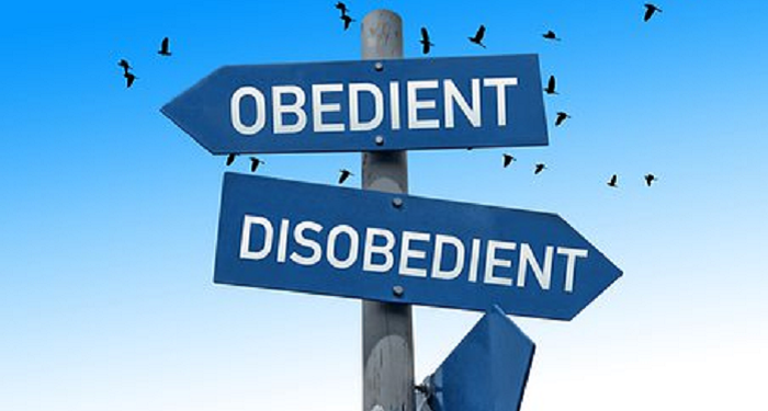 Hadis Arbain 9: Hindari Larangan Laksanakan Perintah Nabi