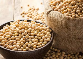 Ini Dia 3 Manfaat Kedelai untuk Kecantikan