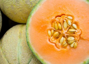 Melon Jingga Ternyata Bisa Atasi Kulit Eksim