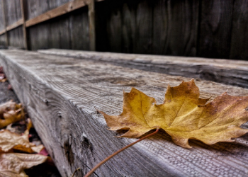 Hadits Arbain 25: Bersedekah Tidak Harus dengan Harta