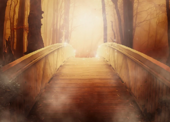 Akhir Hidup yang Indah Bagi Seseorang yang Telah Menggenggam Cahaya