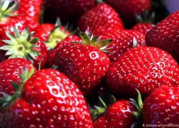 Strawberry Bisa Bantu Kempiskan Mata Bengkak Akibat Begadang