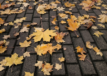 Hadits Arbain 39: Tidak Sengaja atau Lupa Dimaafkan