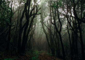 Seperti Inilah Jalannya Hisab (4)