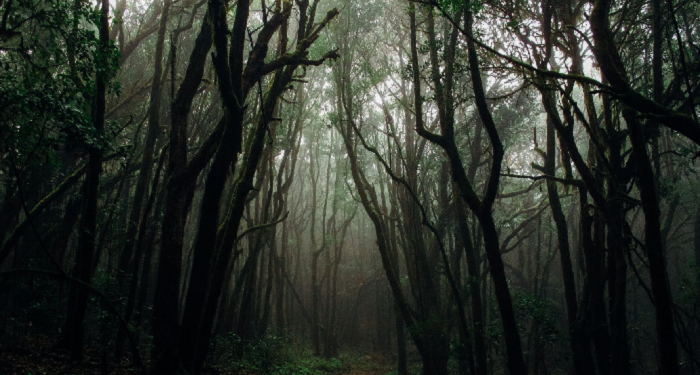 Seperti Inilah Jalannya Hisab (4)