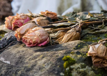 Hadits Arbain 32: Larangan Mencelakakan Diri dan Orang Lain