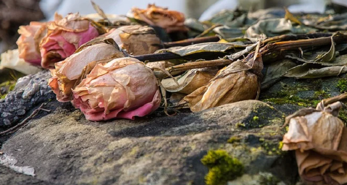 Hadits Arbain 32: Larangan Mencelakakan Diri dan Orang Lain