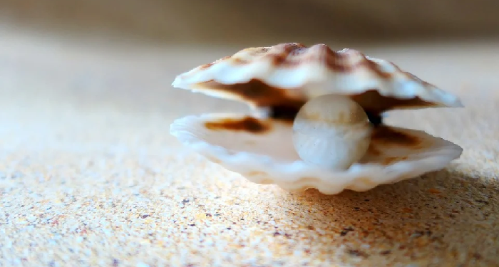 Orang-Orang Mengantri Depan Rumah Ibnu Abbas Untuk Bertanya