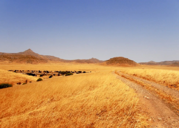 Salamah bin Akwa Pahlawan Pasukan Infanteri
