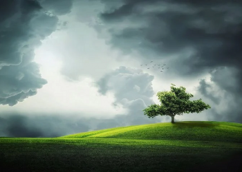 Cinta Abadi Itu Bersemi di Kala Susah