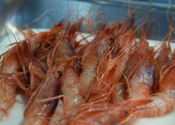 Resep Udang Kuah Asam Manis