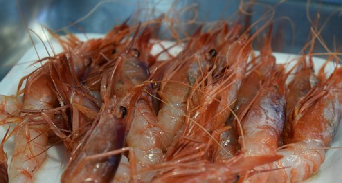 Resep Udang Kuah Asam Manis