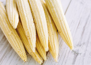 Jagung Muda Berkhasiat Samarkan Bekas Jerawat