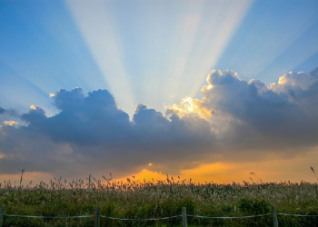 Pembawa Cahaya Allah