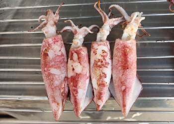 Resep Cumi Asin Cabai Gendot