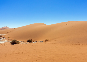 Suhail bin Amru yang Membuat Senang Abu Bakar