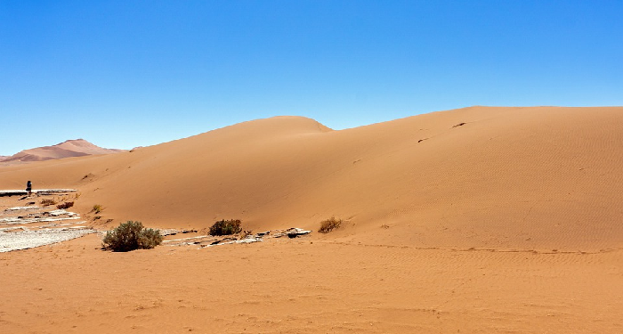 Suhail bin Amru yang Membuat Senang Abu Bakar