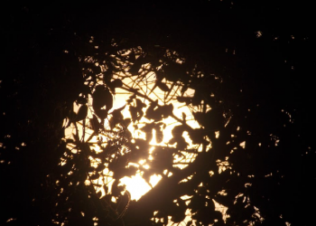 Ketika Abbad bin Bisyir Berjaga Malam