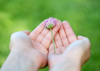 Akumulasi Kebahagiaan
