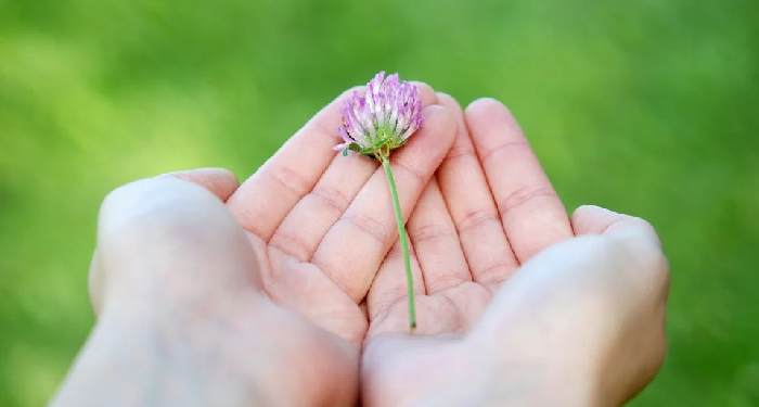 Akumulasi Kebahagiaan