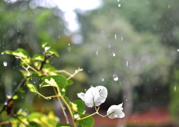 Sembilan Cara Orang Tua Mendidik Anak Meninggalkan Perkawanan yang Buruk