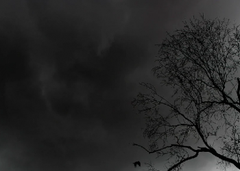 Seperti Inilah Qishas di Hari Akhir (2)