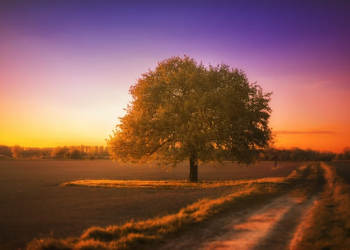 Bila Tak Perlu, Kenapa Harus Bicara?