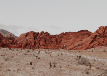 Jangan Lewatkan Doa di Hari Arafah