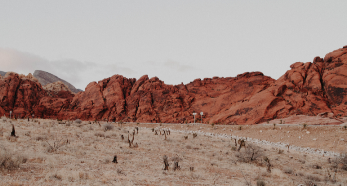 Jangan Lewatkan Doa di Hari Arafah