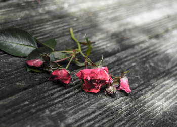 Iblis Senang Saat Suami Istri Berpisah