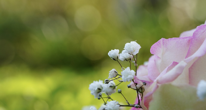 Kisah Salim Maula dari Budak Belian Menjadi Mulia Karena Takwa